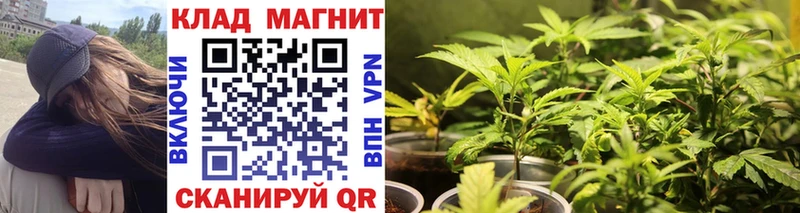 Наркота Краснообск Бошки Шишки  COCAIN  А ПВП  Меф мяу мяу  ГАШИШ 