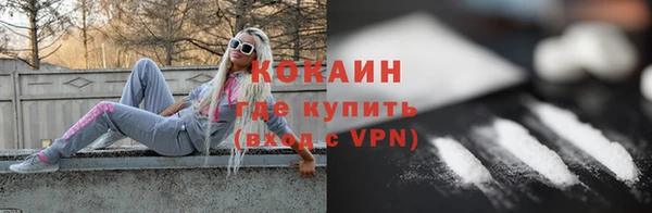 ПСИЛОЦИБИНОВЫЕ ГРИБЫ Бородино