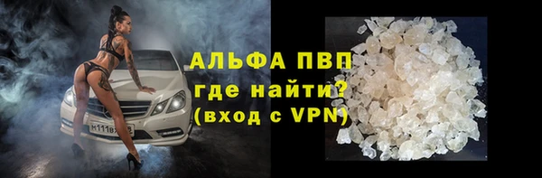 ПСИЛОЦИБИНОВЫЕ ГРИБЫ Бородино