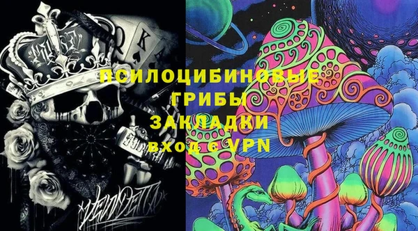 ПСИЛОЦИБИНОВЫЕ ГРИБЫ Бородино