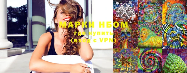 ПСИЛОЦИБИНОВЫЕ ГРИБЫ Бородино