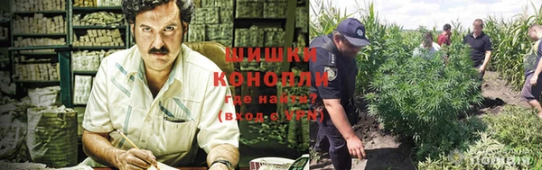ПСИЛОЦИБИНОВЫЕ ГРИБЫ Бородино