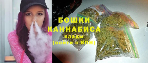 ПСИЛОЦИБИНОВЫЕ ГРИБЫ Бородино