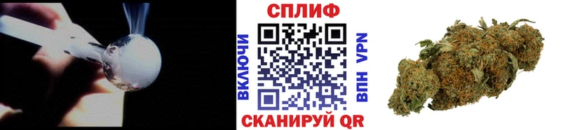 где купить   Краснообск  Шишки марихуана Bruce Banner 